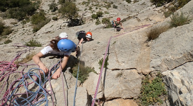 Dentelles jeunes